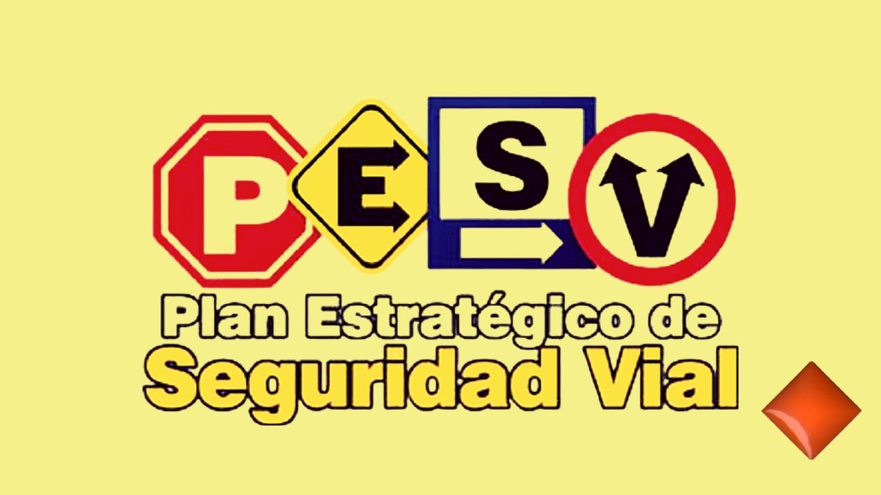 PESV DECRETO 2851 – 2013